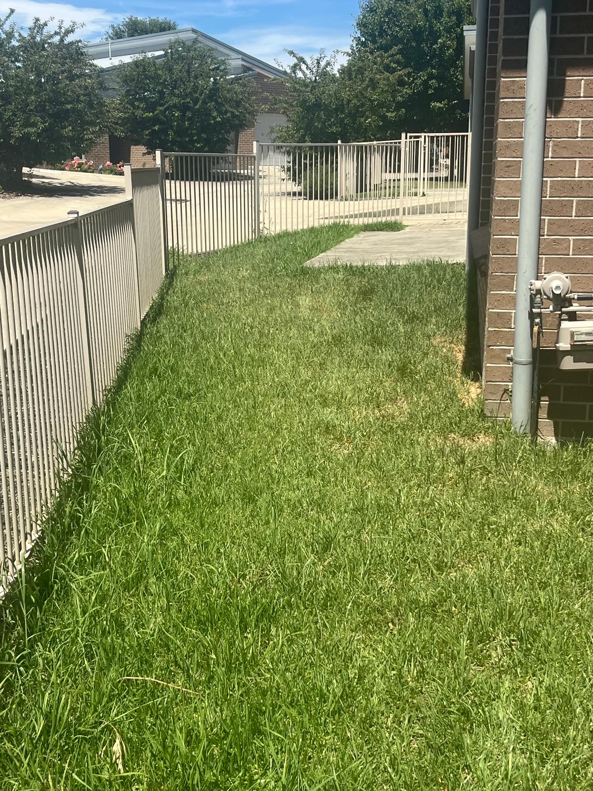 Overgrown lawn mow before work began